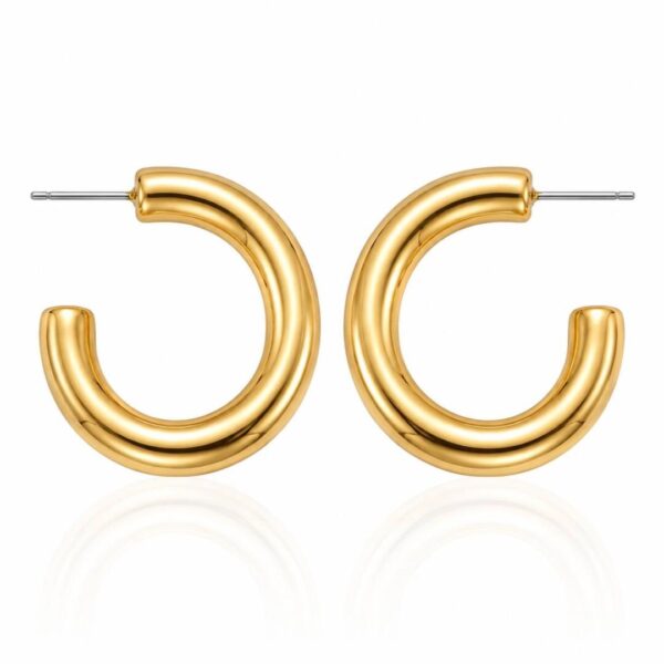 brinco argola grande dourada feminina elegante